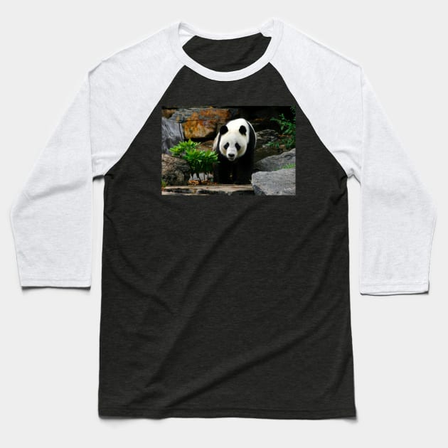 Giant Panda Baseball T-Shirt by jwwallace